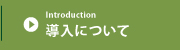 導入について